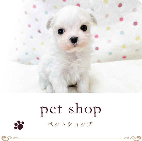 ペットショップ