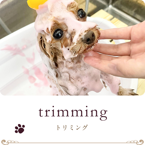 トリミング