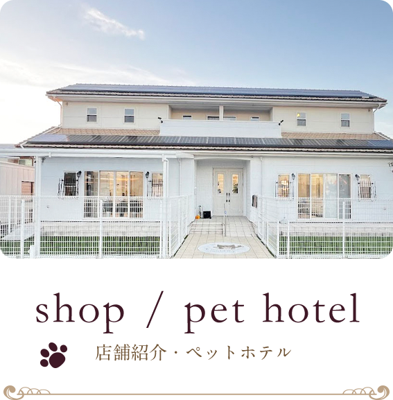 店舗紹介・ペットホテル